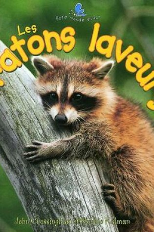 Cover of Les Ratons Laveurs (the Life Cycle of a Raccoon)