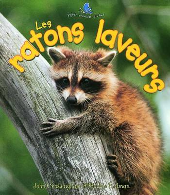 Book cover for Les Ratons Laveurs (the Life Cycle of a Raccoon)