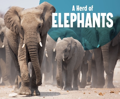 Book cover for A Herd of Elephants