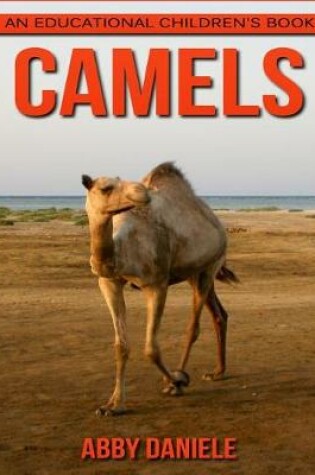 Cover of Camels! An Educational Children's Book about Camels with Fun Facts & Photos