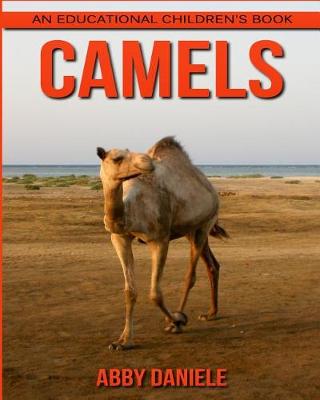 Book cover for Camels! An Educational Children's Book about Camels with Fun Facts & Photos