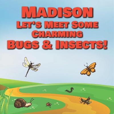 Book cover for Madison Let's Meet Some Charming Bugs & Insects!