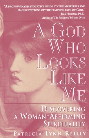 Book cover for God Who Looks Like Me