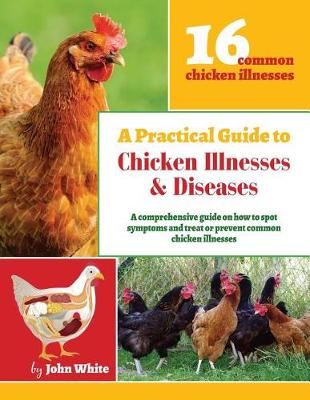 Book cover for A Practical Guide to Chicken Illnesses & Diseases