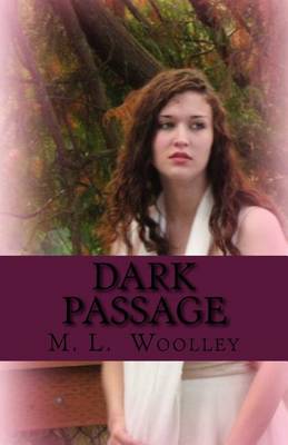 Book cover for Dark Passage