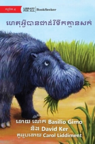 Cover of Why Hippos Have No Hair - ហេតុអ្វីបានជាដំរីទឹកគ្មានសក់