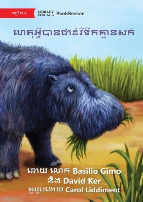 Book cover for Why Hippos Have No Hair - ហេតុអ្វីបានជាដំរីទឹកគ្មានសក់