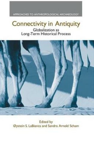 Cover of Connectivity in Antiquity