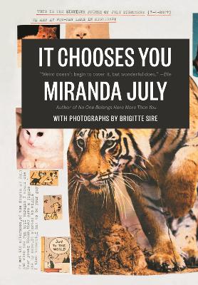 Book cover for It Chooses You