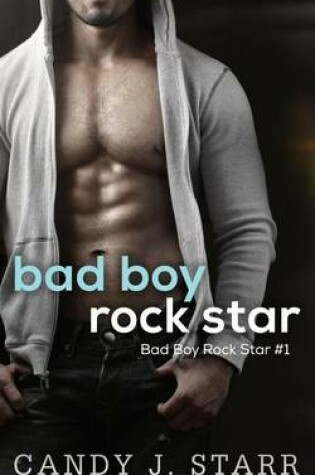 Cover of Bad Boy Rock Star
