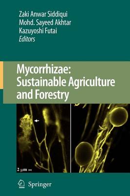 Book cover for Mycorrhizae