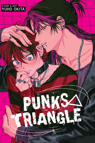 Cover of PUNKS TRIANGLE