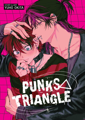 Cover of PUNKS TRIANGLE