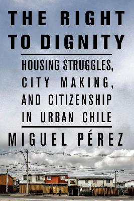 Book cover for The Right to Dignity