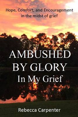 Book cover for Ambushed by Glory in My Grief