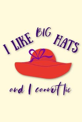 Book cover for I LIKE BIG HATS and I cannot lie