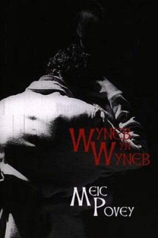 Cover of Cyfres Dalier Sylw: Wyneb yn Wyneb