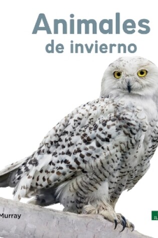 Cover of Animales de Invierno