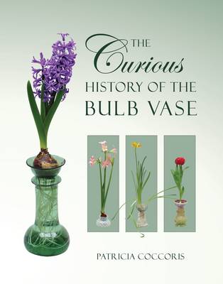 Cover of The Curious History of the Bulb Vase