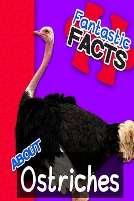 Book cover for Fantastic Facts about Ostriches