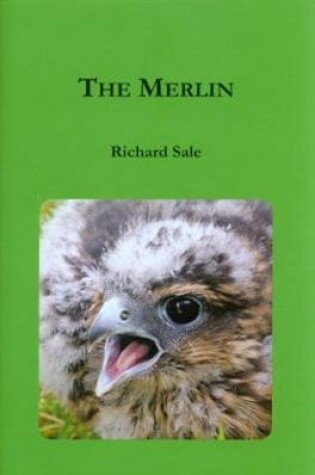 Cover of The Merlin