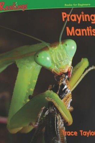 Cover of Praying Mantis