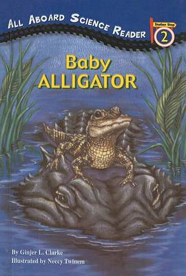 Cover of Baby Alligator