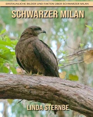 Book cover for Schwarzer Milan