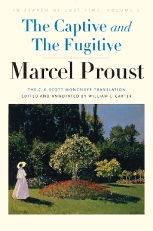 Cover of The Captive and The Fugitive