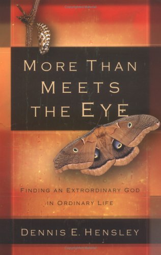 Book cover for More Than Meets the Eye***op***