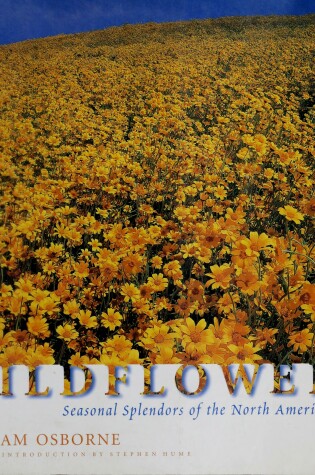 Cover of Wildflowers