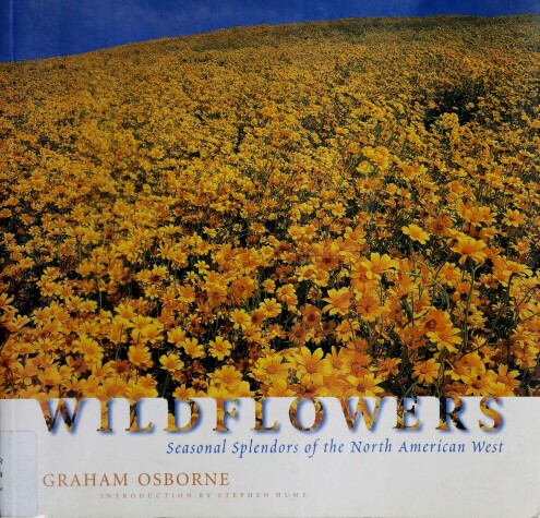 Book cover for Wildflowers