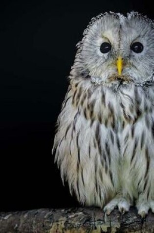 Cover of Ural Owl Raptor Journal