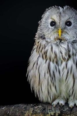 Book cover for Ural Owl Raptor Journal