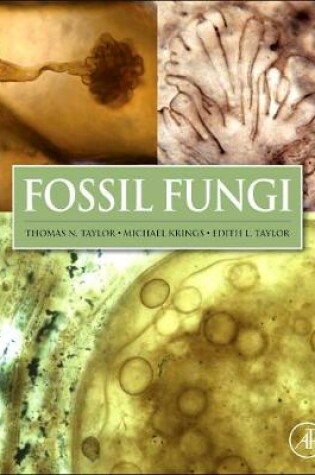 Cover of Fossil Fungi