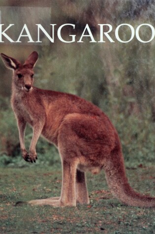 Cover of Kangaroos