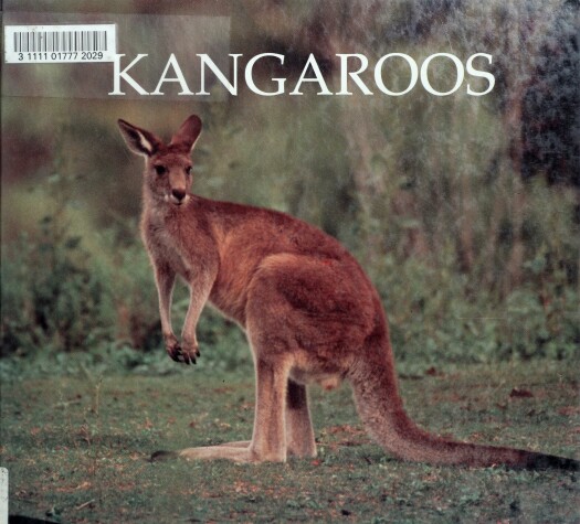 Cover of Kangaroos