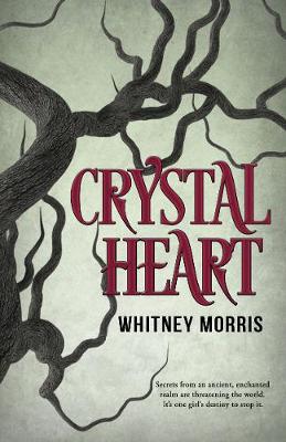 Book cover for Crystal Heart