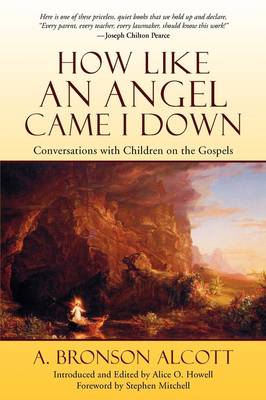 Book cover for How Like An Angel Came I Down