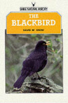 Book cover for The Blackbird