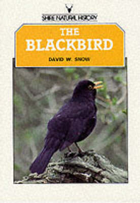 Book cover for The Blackbird