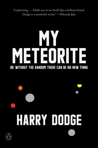Cover of My Meteorite