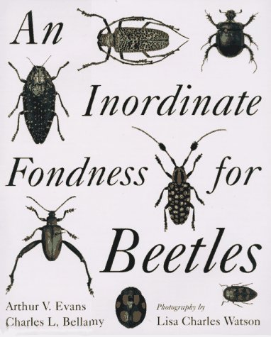 Book cover for An Inordinate Fondness for Beetle