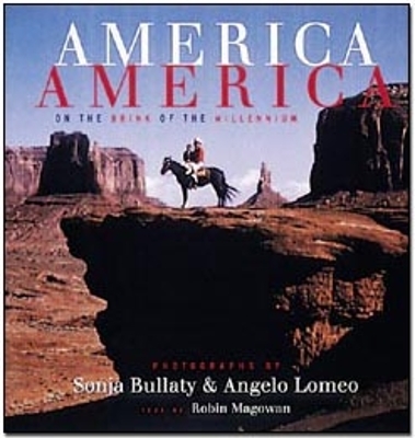 Book cover for America, America: on the Brink of the Millennium