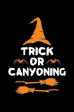 Cover of Trick or Canyoning