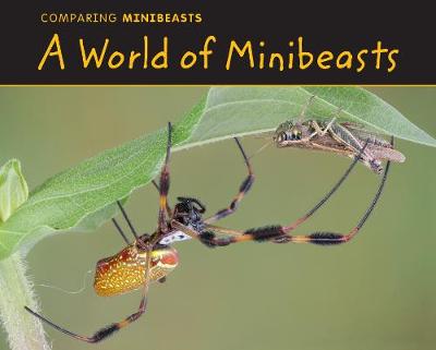 Book cover for A World of Minibeasts