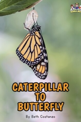 Cover of Letter C - Caterpillar to Butterfly for Kids 3-8