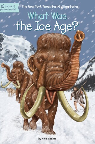 Cover of What Was the Ice Age?