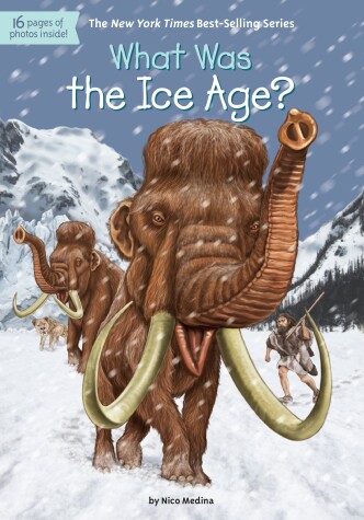 Book cover for What Was the Ice Age?