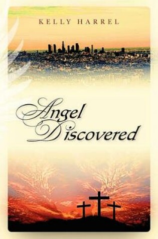 Cover of Angel Discovered